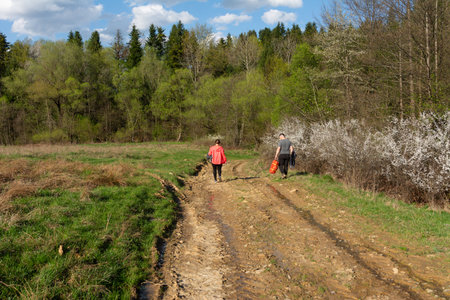 Two friends walk a muddy trail under bright sunlight, savoring blooming plants and lush greenery on a peaceful spring afternoon.の写真素材