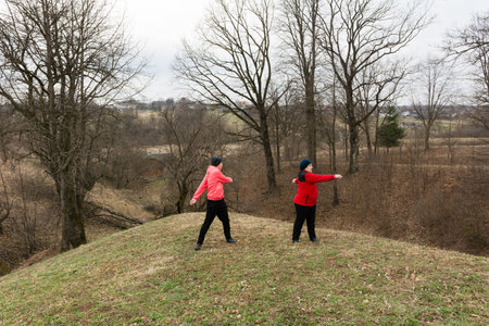Two people dance joyfully on a grassy knoll as twilight approaches, with leafless trees framing the expansive view of the tranquil countryside.の写真素材