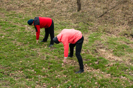 In a vibrant green field, two people lean down, examining the ground closely for edible plants, immersed in the joy of discovering nature's bounty.の写真素材