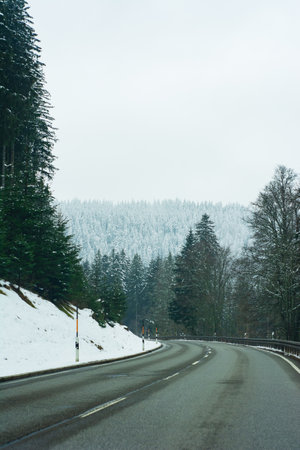 A curving road is nestled between snow-covered terrain and tall evergreen trees while a blanket of clouds casts a soft light on this peaceful winter day.の写真素材