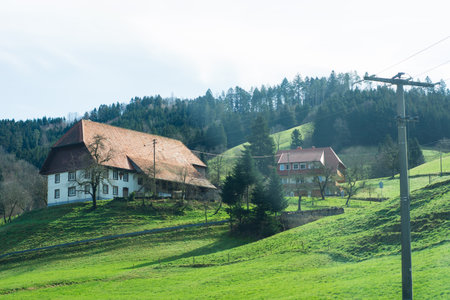 On a bright morning, traditional Swiss houses sit peacefully on rolling green hills, surrounded by tall trees and a tranquil atmosphere, inviting nature's beauty into view.の写真素材