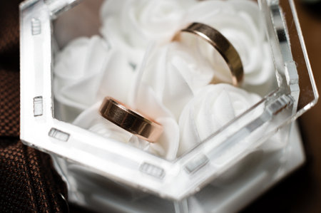 Close-up view of two gold wedding bands resting gently in a clear, geometric-shaped box lined with white tissue. The rings are smooth, shiny and symbolize a new beginning.の写真素材