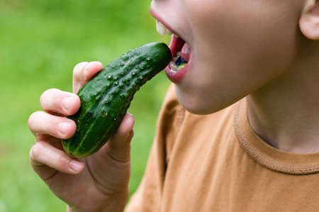 A young child takes a large bite of a fresh, green cucumber in a grassy outdoor setting. The focus is on the child's enjoyment of the healthy snack.の写真素材