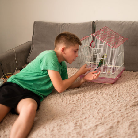 A young boy lies on a beige couch, gently observing a small green parrot inside its cage. The scene is peaceful and intimate.の写真素材