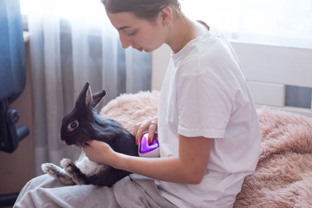 A young woman sits on a fuzzy blanket, cradling a black rabbit. She's using a small, handheld device on the rabbit, creating a peaceful scene of pet care.の写真素材