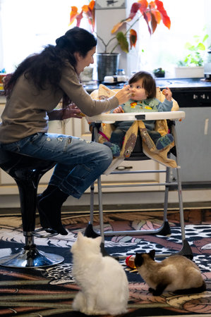 A woman perched on a stool lovingly feeds her toddler seated in a high chair, while two curious cats sit attentively nearby, enjoying the quiet domesticity in the kitchen.の写真素材