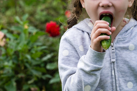 A young child enjoys a fresh cucumber outdoors, amidst greenery and a blurred red flower in the background. The focus is on the child's enjoyment of the healthy snack.の写真素材