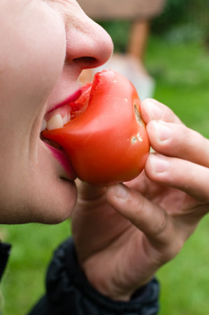 Close-up of a person taking a bite of a fresh, red tomato. The image highlights the texture of the tomato and the action of biting into it in a natural outdoor setting.の写真素材