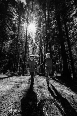 Two children hold hands, running playfully through a forest bathed in sunlight. The tall trees cast shadows on the ground as they enjoy a carefree moment.の写真素材