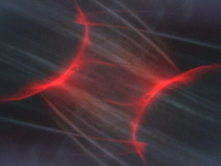 art textureの写真素材