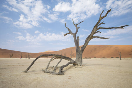 Deadvleiの写真素材