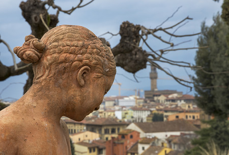 Panorama of Florenceの写真素材