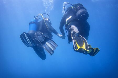 Scuba diversの写真素材