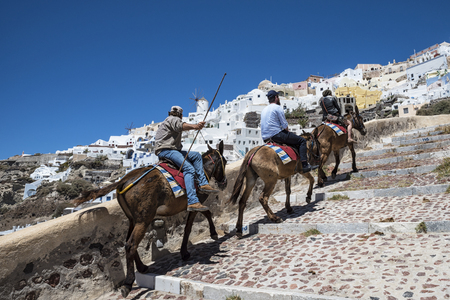 Santorini donkey rideの写真素材