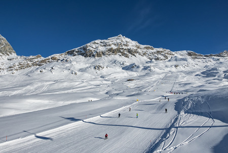 Cerviniaの写真素材