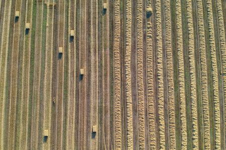 Agricultural field viewed from the top by a drone