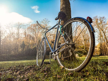 Bicycle leaning against a treeの写真素材