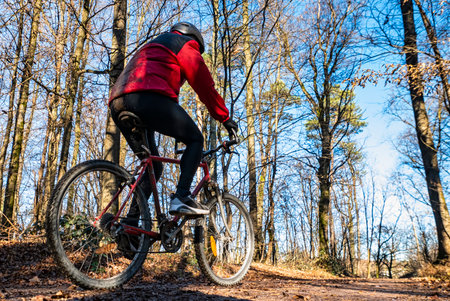 Mountain biking scene in a woodlandの写真素材