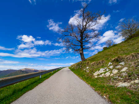 Road in the italian alps