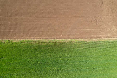 Agricultural field viewed from the top by a droneの写真素材