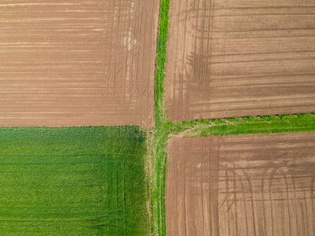 Agricultural field viewed from the top by a drone