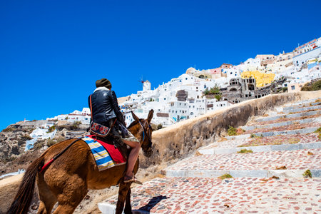 Donkey ride in Santorini's islandの写真素材
