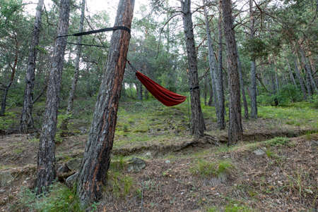 Hammock in a n alpine forestの写真素材