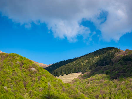 Spring landscape on the alps of Lake Comoの写真素材