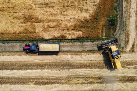 Harvesting scene in the italian countrysideの写真素材