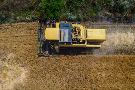 Harvesting scene in the italian countrysideの写真素材