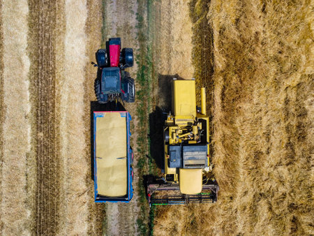 Harvesting scene in the italian countrysideの写真素材