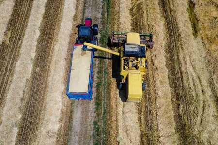 Harvesting scene in the italian countrysideの写真素材