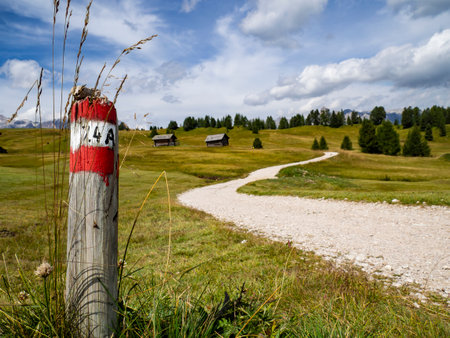 Mountain bike trail in the Dolomitesの写真素材