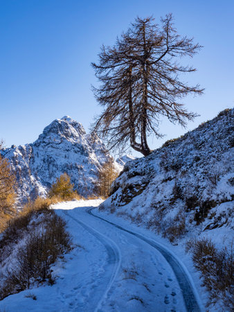 Snowy road in the italian alpsの写真素材