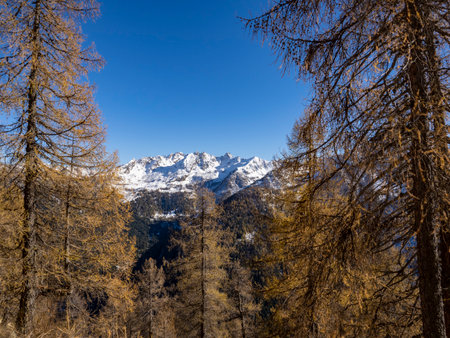 Alpine landscape in autumn in Valgerola