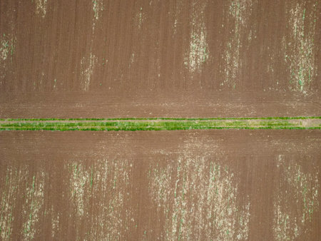 Country road in a cultivated fieldの写真素材