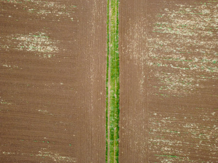 Country road in a cultivated fieldの写真素材