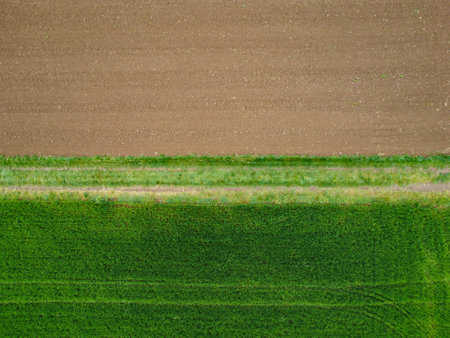 Country road in a cultivated fieldの写真素材