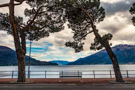 Bench on the shoreline of Lake Comoの写真素材