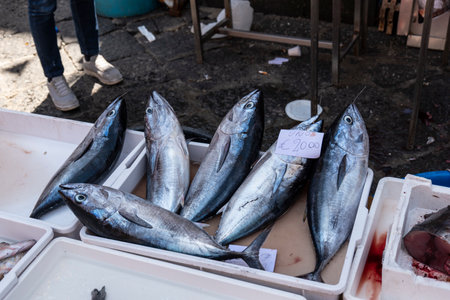 Close-up of fishes in the fish market of Cataniaの写真素材