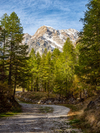 Autumnal landscape in the Italian alps of Macugnagaの写真素材