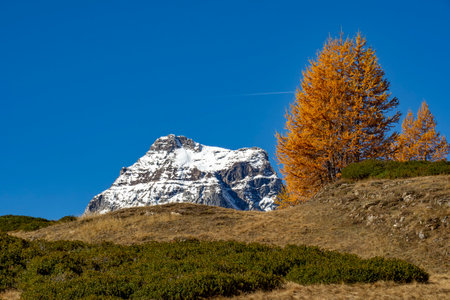 Autumn landscape in Alpe Deveroの写真素材