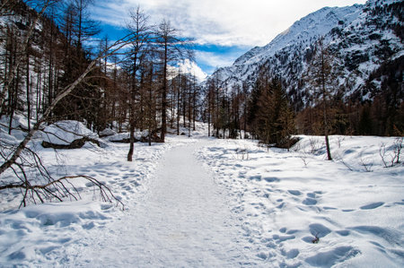 Gran Paradiso National Park (Italy) winter landscapeの写真素材