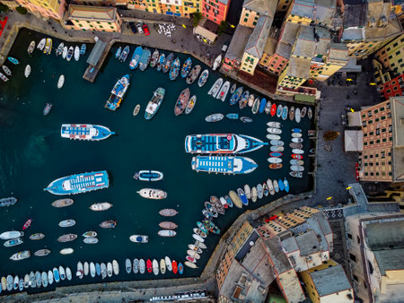 Tourist boat mooring in the harbor of Camogli
