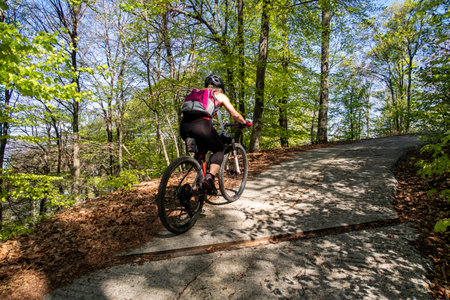 Mountain bike tour in the alpsの写真素材