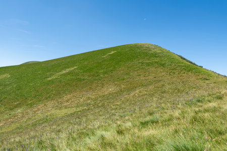 Mountain landscape of a prairie in the Italian Alpsの写真素材