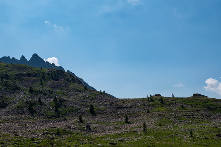 View of the road of Colle Della Lombarda Pass from Vinadio in Piedmontの写真素材