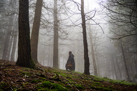 Mushroom hunter in a forest of the alpsの写真素材