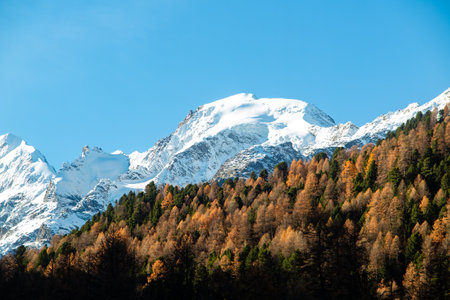 View of the glacier of Morteratsch in Switzerlandの写真素材