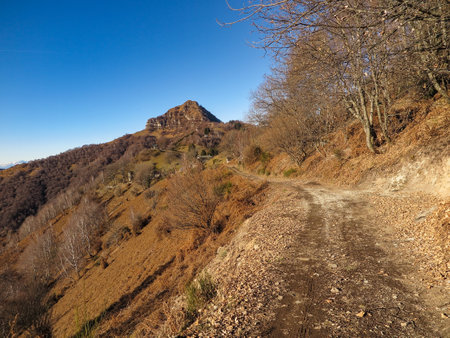 View of Sasso Gordona Mountain in the Italian Alpsの写真素材